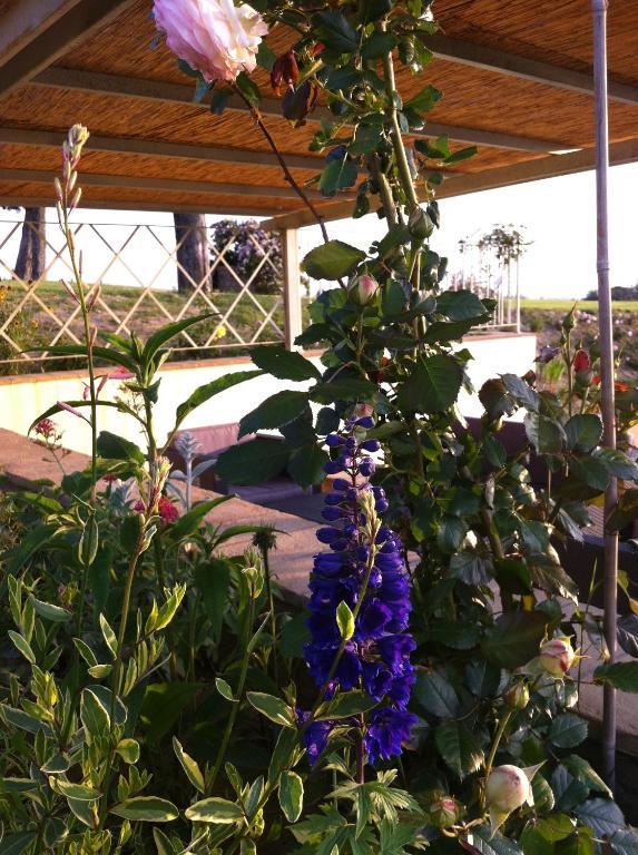 הוילה מוטספרטולי Azienda Agrituristica Bellavista מראה חיצוני תמונה