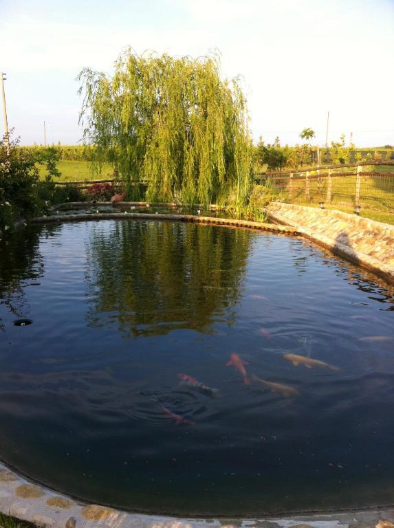 הוילה מוטספרטולי Azienda Agrituristica Bellavista מראה חיצוני תמונה