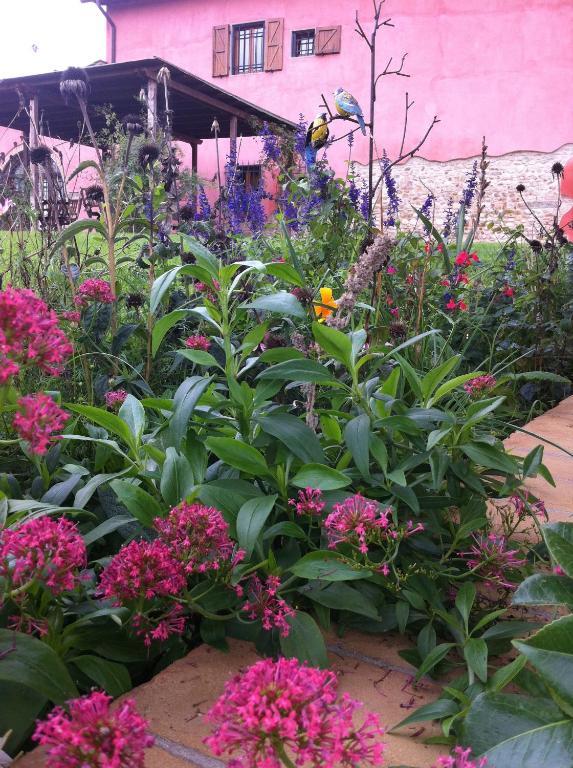 הוילה מוטספרטולי Azienda Agrituristica Bellavista מראה חיצוני תמונה