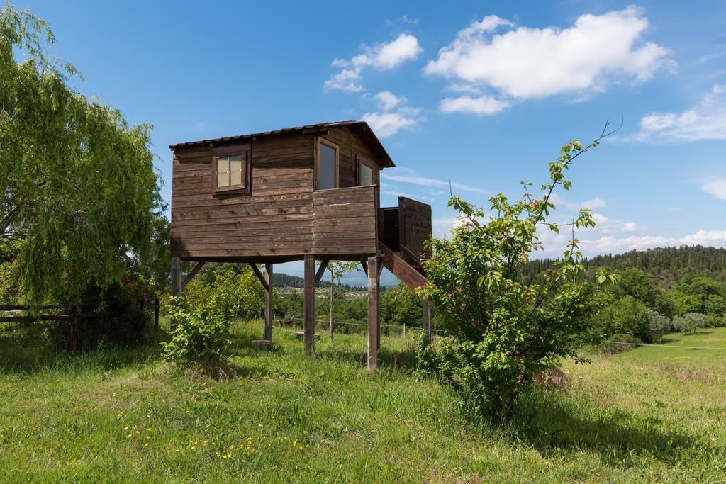 הוילה מוטספרטולי Azienda Agrituristica Bellavista מראה חיצוני תמונה